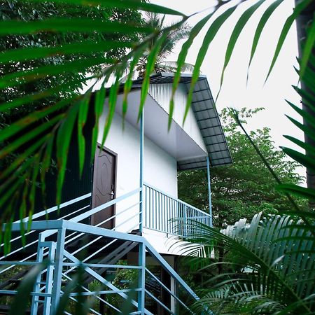 Green Aura Private Villas Szultán Bathery Kültér fotó