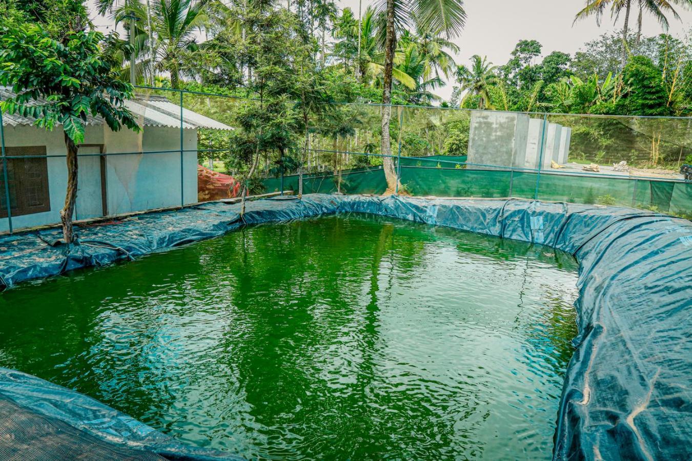 Green Aura Private Villas Szultán Bathery Kültér fotó